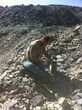 Near Perfect Asaphiscus Trilobite - U-Dig Quarry #2916-3